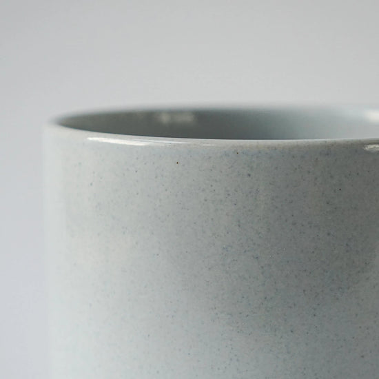 arctic grey